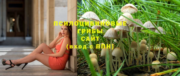 кокс Баксан