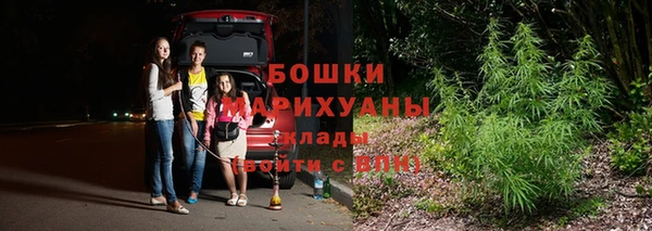 сатива Балабаново