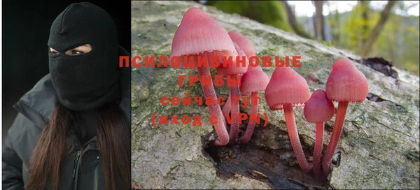 кокс Баксан
