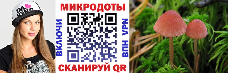 Галлюциногенные грибы Magic Shrooms  Унеча 